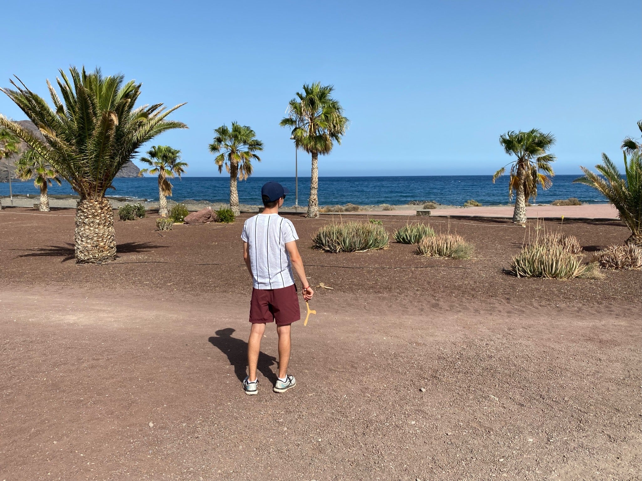 Bumerang Wurf am Strand mit Palmen