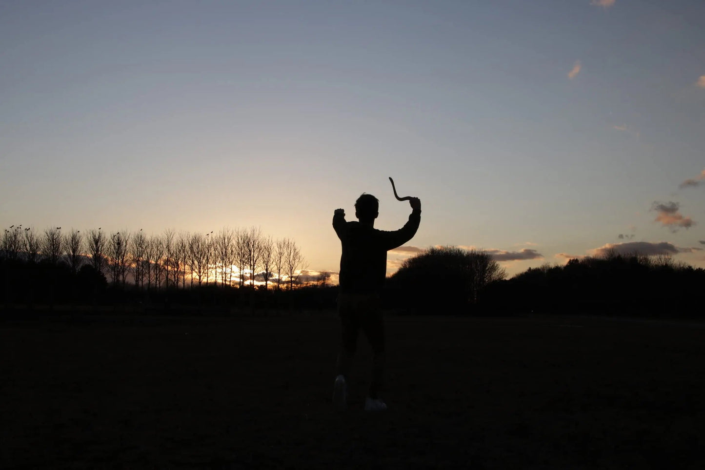 JF BUMERANG - emotionales Bild: Boomerang Werfen im Sonnenuntergang.